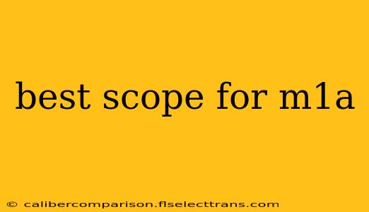 best scope for m1a