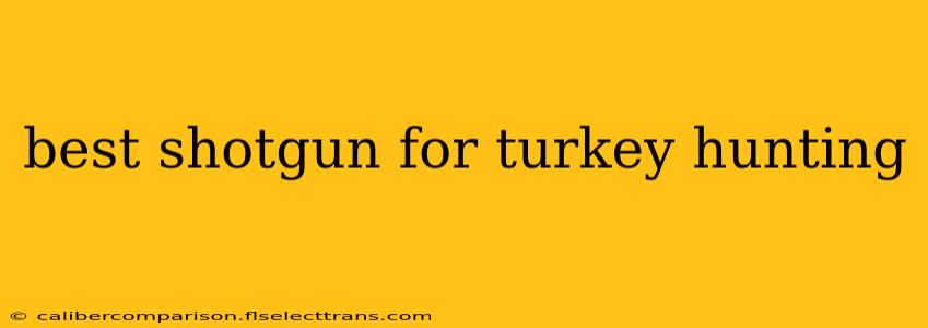 best shotgun for turkey hunting