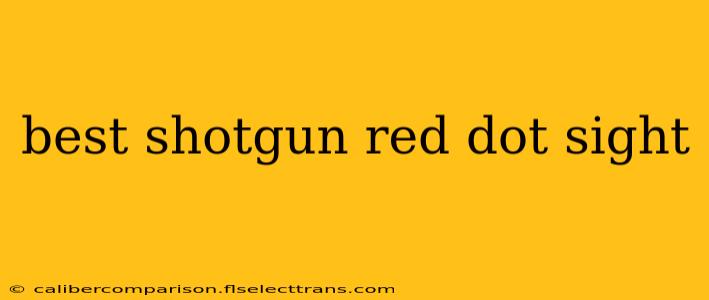 best shotgun red dot sight