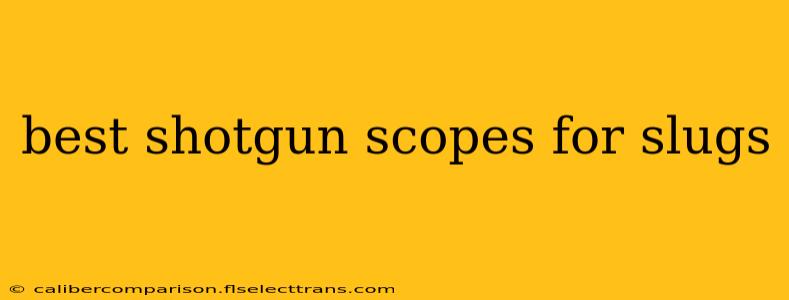 best shotgun scopes for slugs