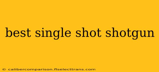 best single shot shotgun