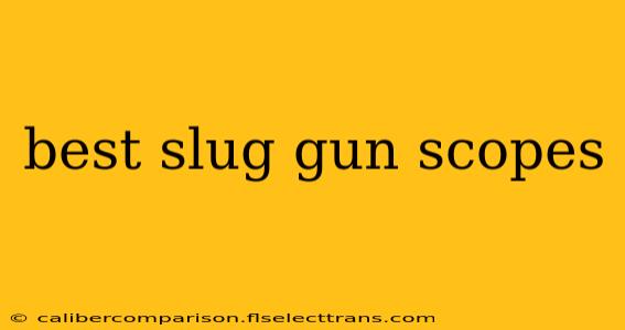 best slug gun scopes