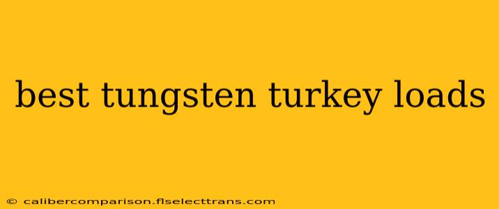 best tungsten turkey loads