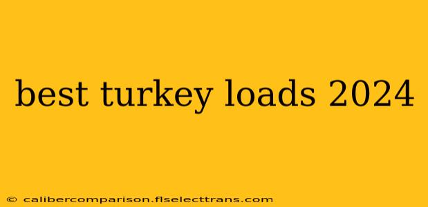 best turkey loads 2024