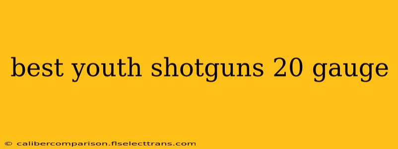 best youth shotguns 20 gauge