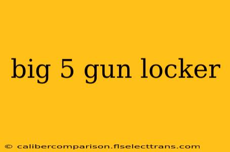 big 5 gun locker