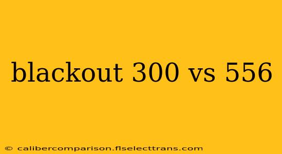 blackout 300 vs 556