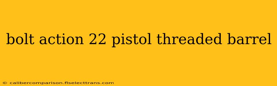 bolt action 22 pistol threaded barrel