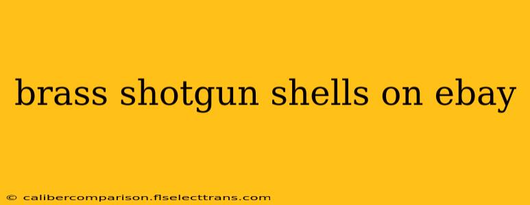 brass shotgun shells on ebay