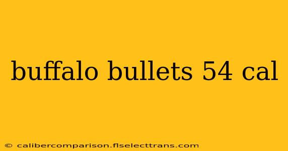 buffalo bullets 54 cal