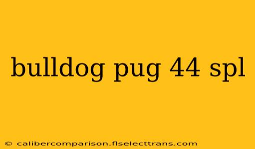 bulldog pug 44 spl