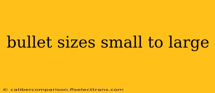 bullet sizes small to large