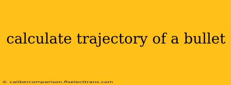 calculate trajectory of a bullet