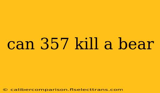 can 357 kill a bear