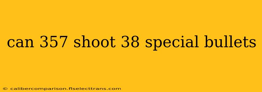 can 357 shoot 38 special bullets