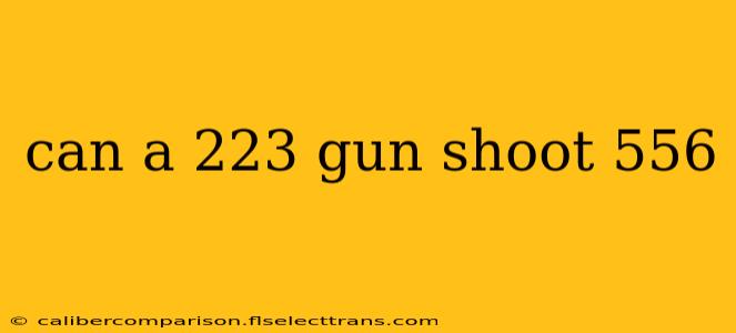 can a 223 gun shoot 556