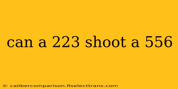 can a 223 shoot a 556