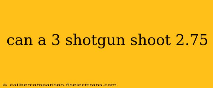 can a 3 shotgun shoot 2.75