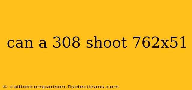 can a 308 shoot 762x51