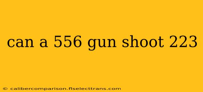 can a 556 gun shoot 223