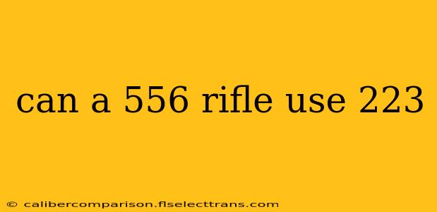 can a 556 rifle use 223