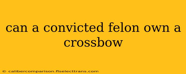 can a convicted felon own a crossbow