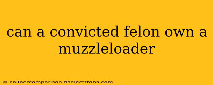 can a convicted felon own a muzzleloader