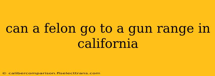 can a felon go to a gun range in california