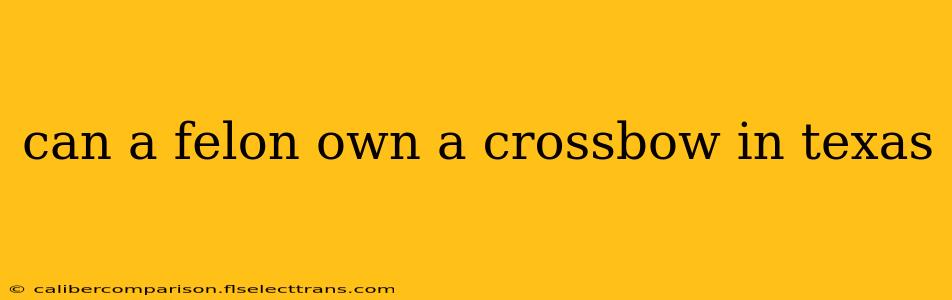 can a felon own a crossbow in texas