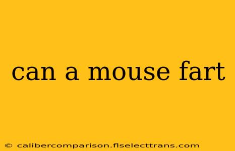 can a mouse fart