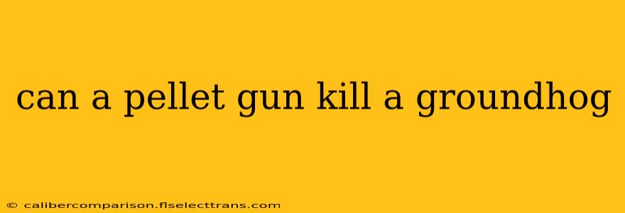 can a pellet gun kill a groundhog