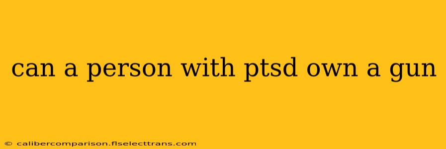 can a person with ptsd own a gun