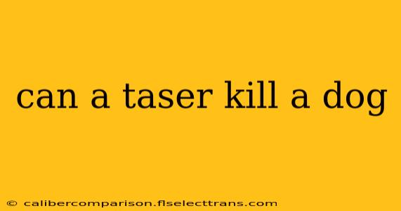 can a taser kill a dog