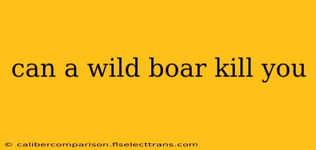 can a wild boar kill you