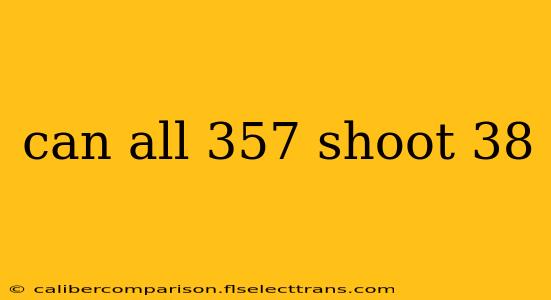 can all 357 shoot 38