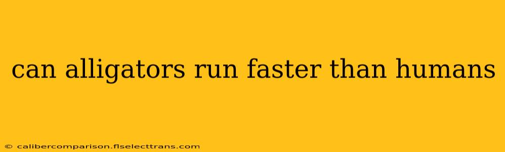 can alligators run faster than humans