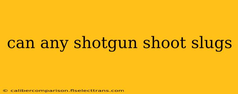 can any shotgun shoot slugs