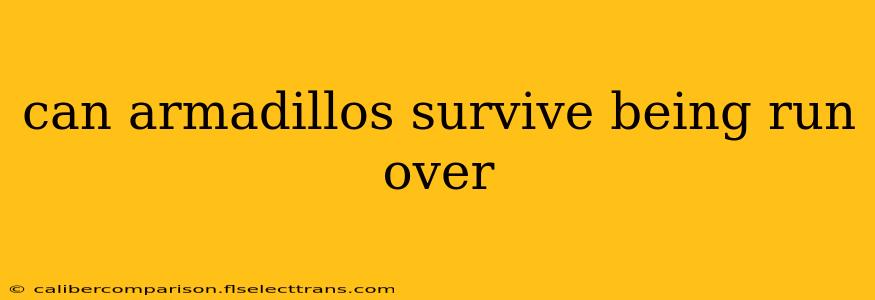 can armadillos survive being run over