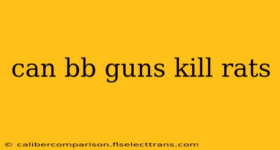 can bb guns kill rats