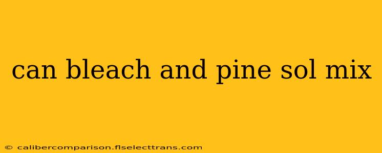 can bleach and pine sol mix