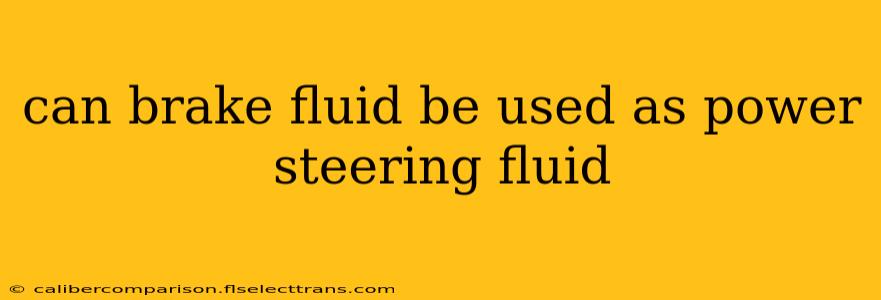 can brake fluid be used as power steering fluid