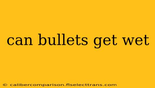 can bullets get wet