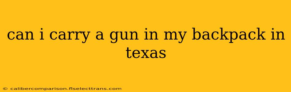 can i carry a gun in my backpack in texas