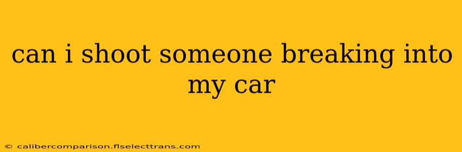 can i shoot someone breaking into my car