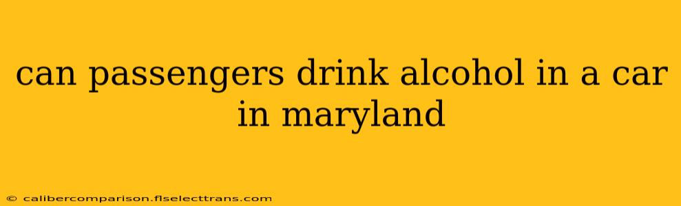 can passengers drink alcohol in a car in maryland