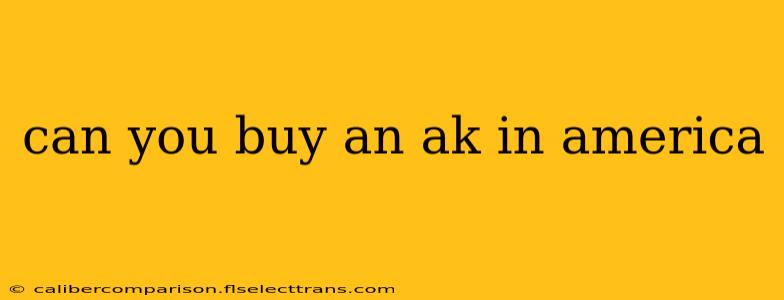 can you buy an ak in america