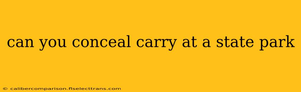 can you conceal carry at a state park