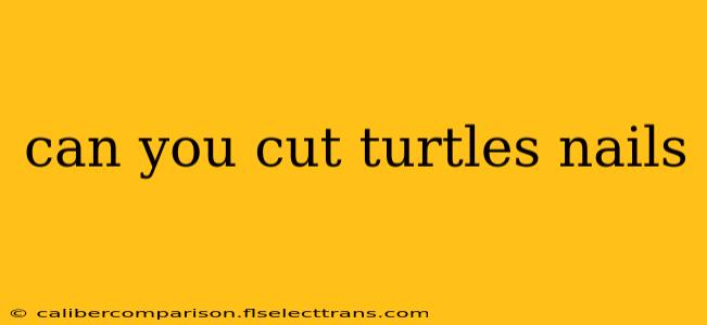 can you cut turtles nails