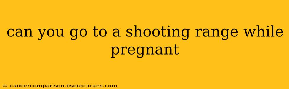 can you go to a shooting range while pregnant