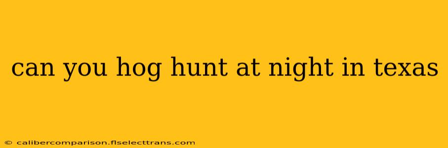 can you hog hunt at night in texas